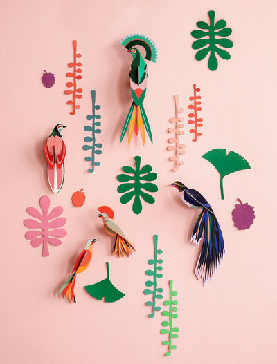Mur des curiosités - observateur d'oiseaux